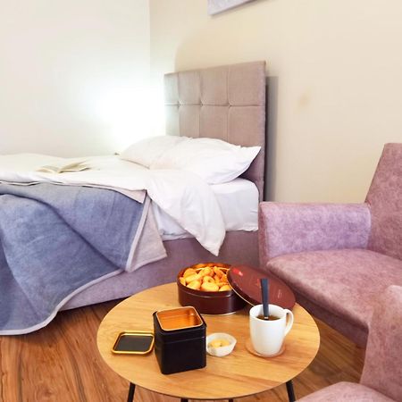 Dani Lux Belgrade Center Studio Apartment 外观 照片
