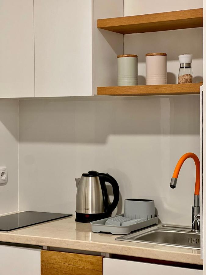 Dani Lux Belgrade Center Studio Apartment 外观 照片