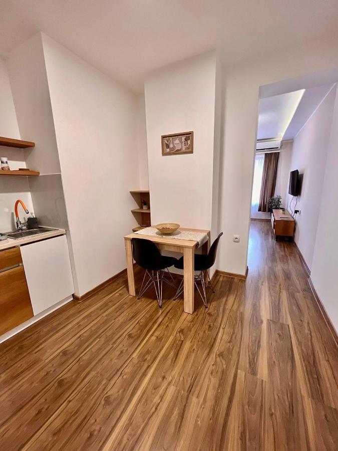 Dani Lux Belgrade Center Studio Apartment 外观 照片