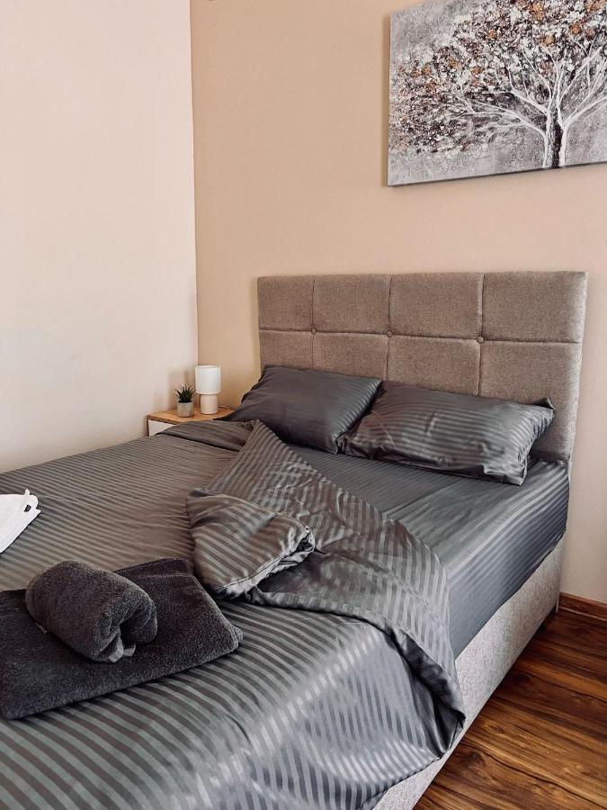 Dani Lux Belgrade Center Studio Apartment 外观 照片